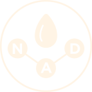 エネルギーに満ちた