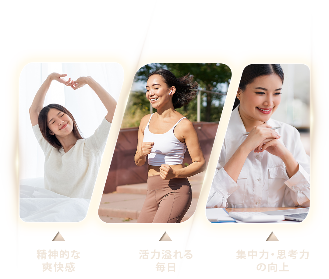 「エネルギー工場」<br>